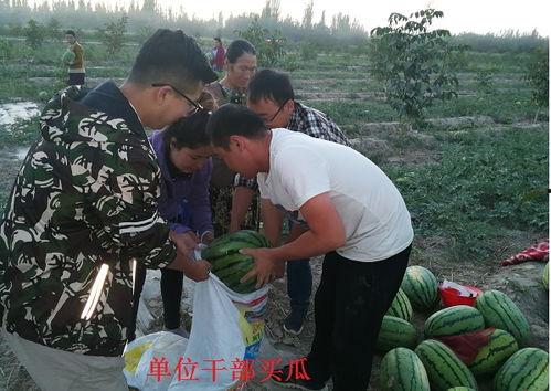 瓜农吃瓜中毒,警惕农药残留危害