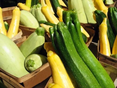 广东带你吃瓜,广东带你领略地道的吃瓜之旅