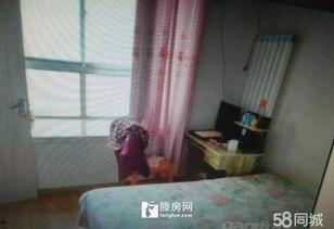 滕州房产直播吃瓜,滕州房产直播中的那些“吃瓜”瞬间