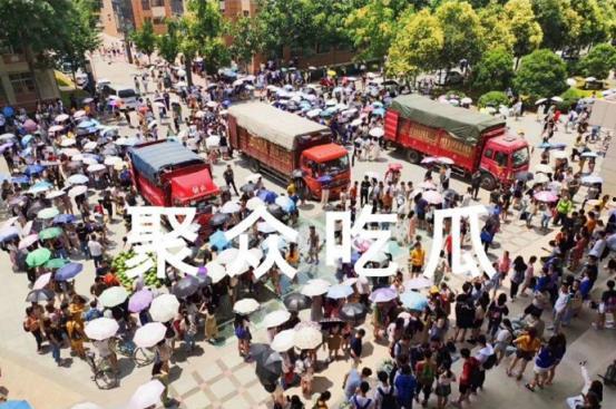 五大高校吃瓜,揭秘校园里的那些“吃瓜”故事