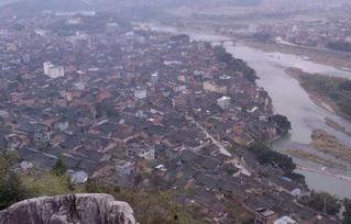 吃瓜撞上警车,引发社会热议