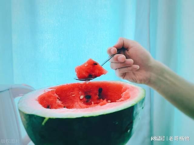 吃瓜事件起因,揭秘吃瓜事件背后的真相与争议