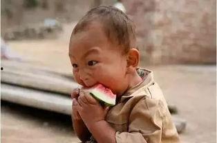 菊瓜能给宝宝吃,宝宝辅食新选择