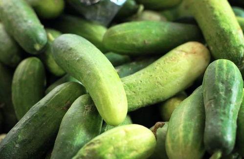 每天坚持吃瓜好吗,养成健康生活新习惯