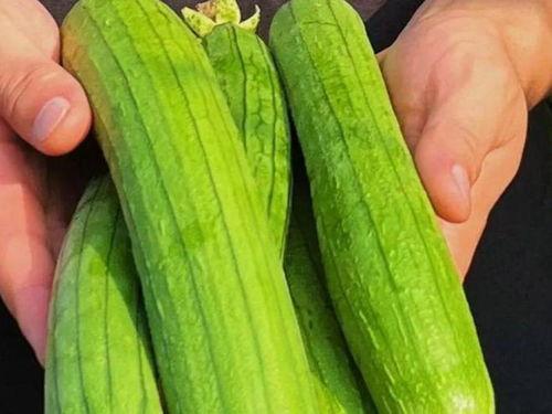 吃生把瓜补什么,补身强体，揭秘天然养生之道