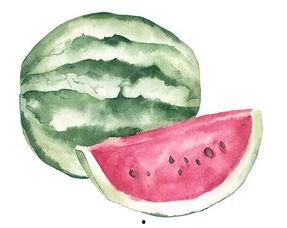 吃瓜八瓣,揭秘娱乐圈背后的那些事儿