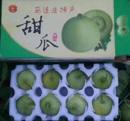 吃瓜群众看大小羊吃瓜,吃出欢乐与和谐