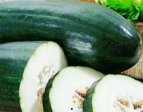 吃瓜吃累了吃藕吧图片,来份清甜藕韵