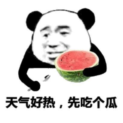 旱獭吃瓜表情,萌态可掬的夏日趣味瞬间